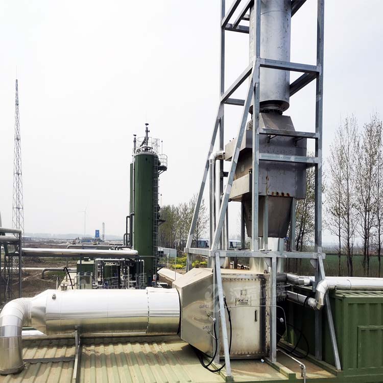 生物發電配脫硝 共衛藍天空氣新 ——萬純生物質沼氣發電機組脫硝系統在某地運行