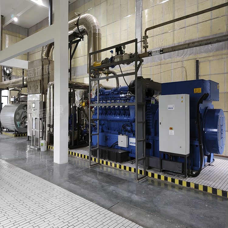 萬純SCR脫硝工程-1500KW餐廚沼氣機(jī)組脫硝 萬純SCR脫硝工程-1500KW餐廚沼氣機(jī)組脫硝